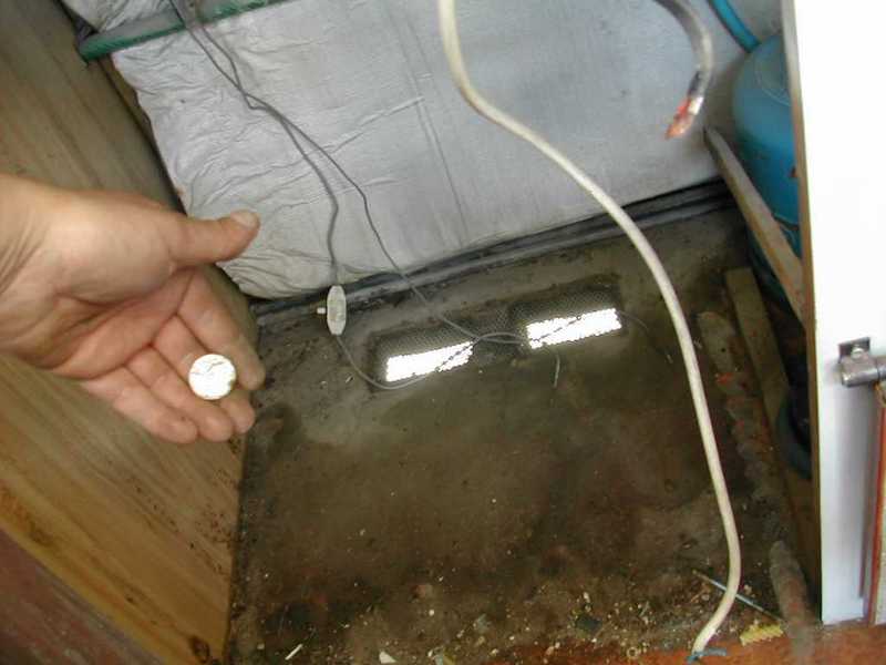 pero%27%21 50 LIRE%21 %3a)