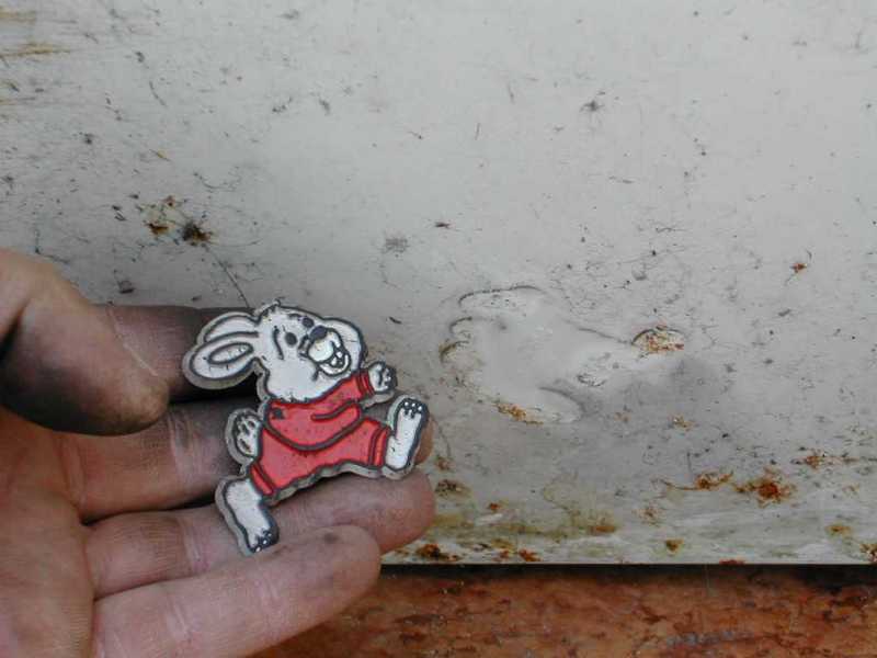 un coniglietto magnetico%21