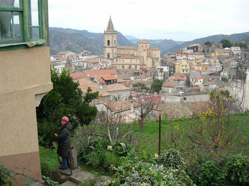 questi mandarini sono buonissimi