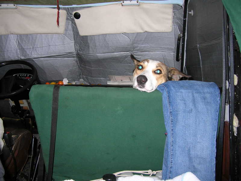 prima di andare a dormire...