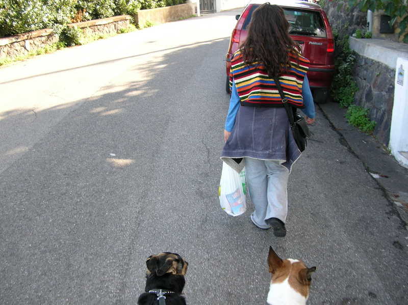 torniamo al camper - dovremo spostarlo - lo sapevo