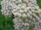 dscn0904