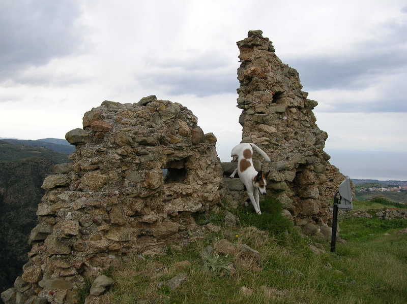Ciupi esplora le rovine