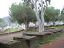 tombe 
