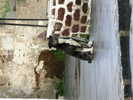 visitatore