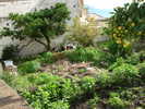 dscn1068
