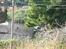 dscn1078