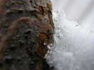 dscn1895