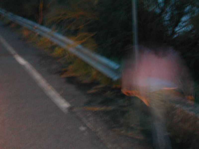 dscn6035
