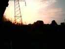 sunp0005